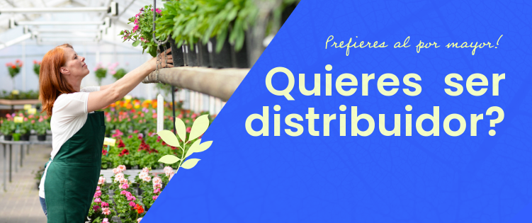Distribuidor